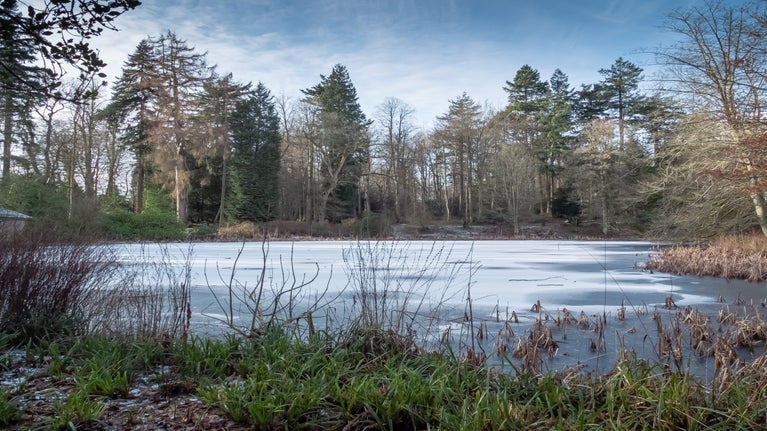 Frozen China pond at Wallington, Northumberland